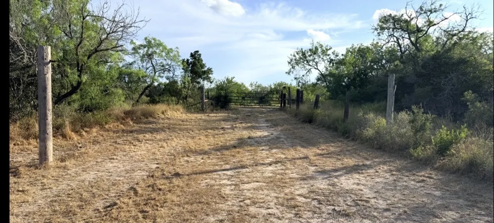 3463 County Road 332 San Diego, TX 78384