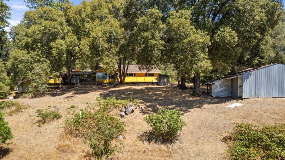 51711 S Ponderosa Way Oakhurst, CA 93644