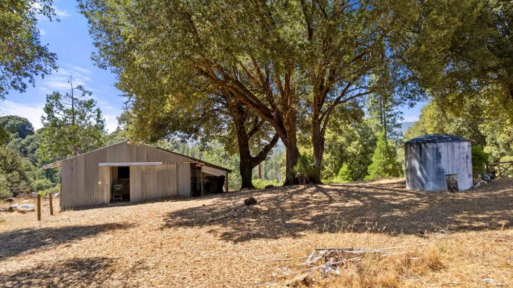 51711 S Ponderosa Way Oakhurst, CA 93644