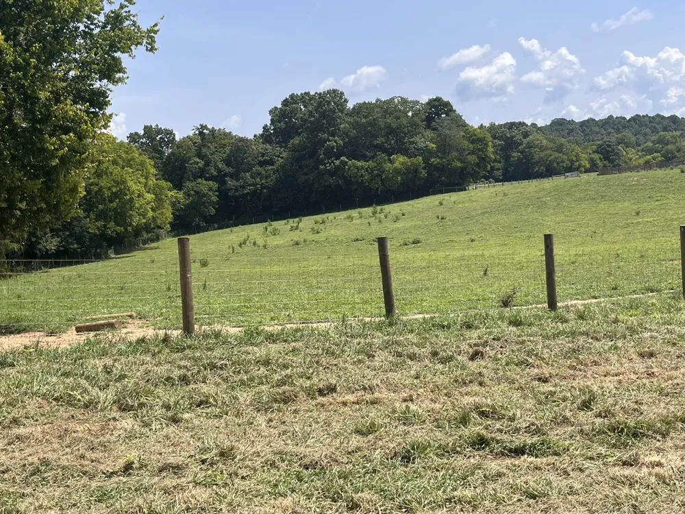 160 County Road 968 Delano, TN 37325