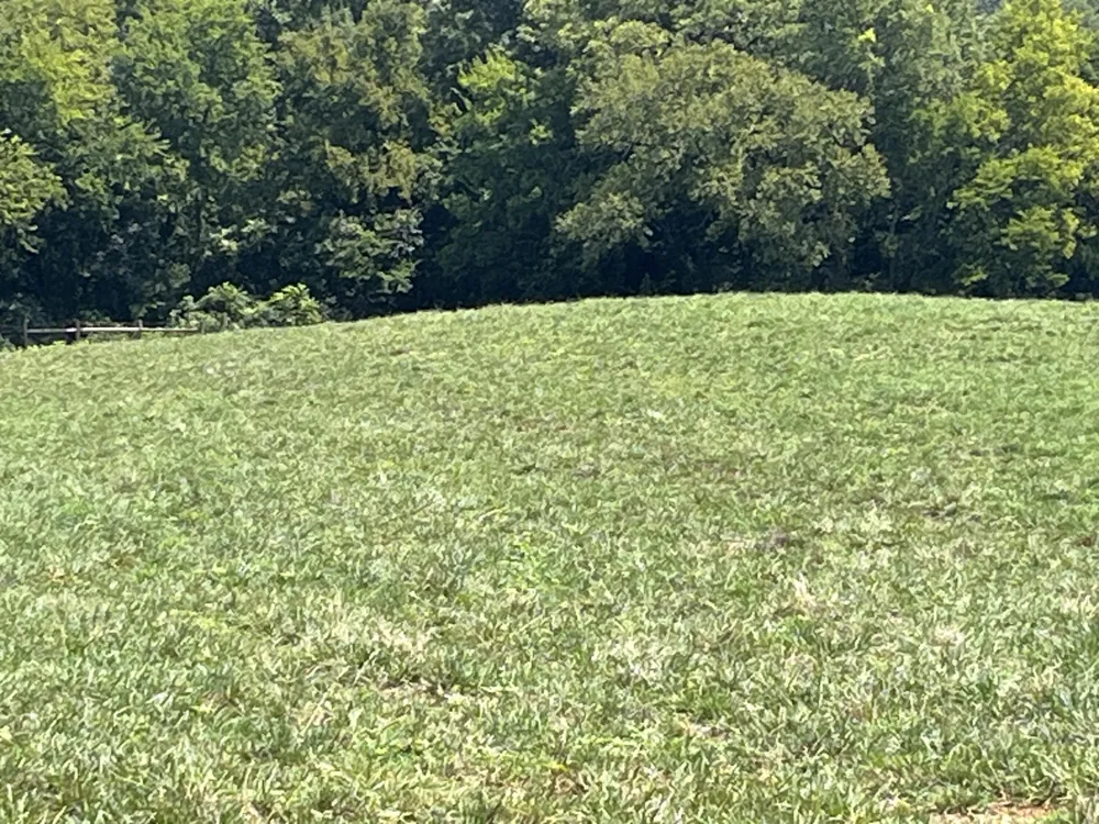160 County Road 968 Delano, TN 37325