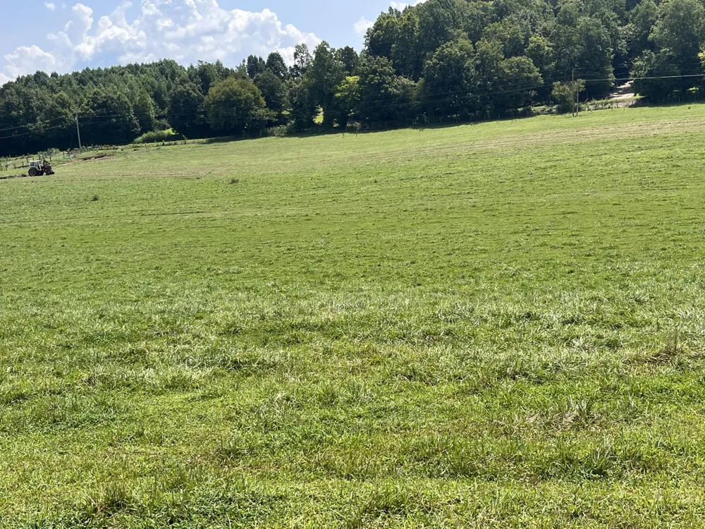 160 County Road 968 Delano, TN 37325