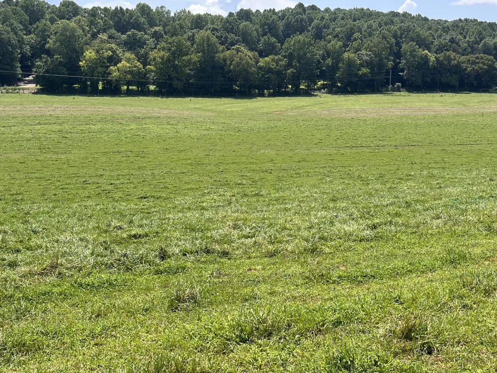 160 County Road 968 Delano, TN 37325