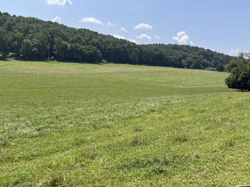 160 County Road 968 Delano, TN 37325