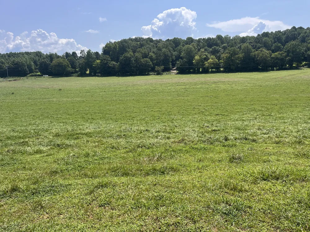 160 County Road 968 Delano, TN 37325