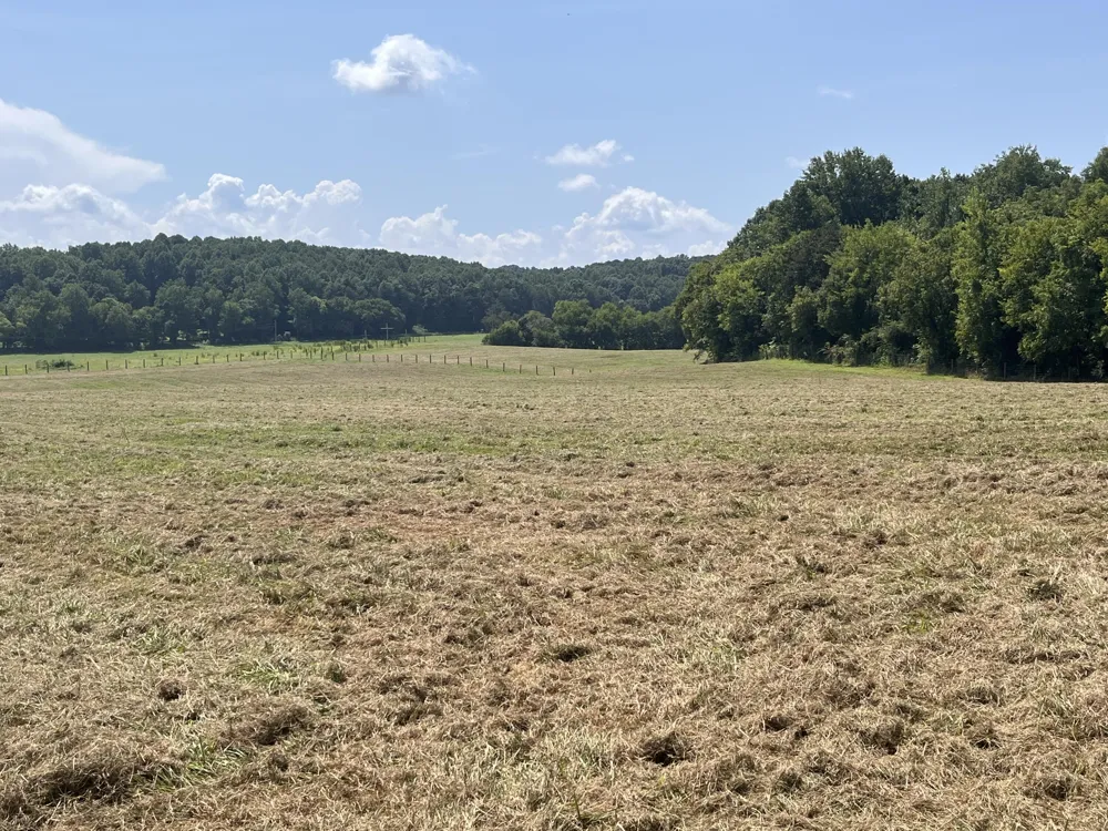 160 County Road 968 Delano, TN 37325