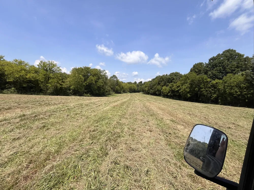 160 County Road 968 Delano, TN 37325