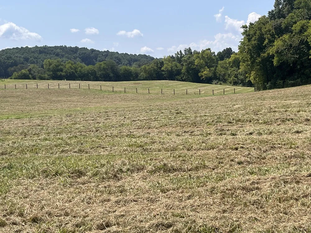 160 County Road 968 Delano, TN 37325