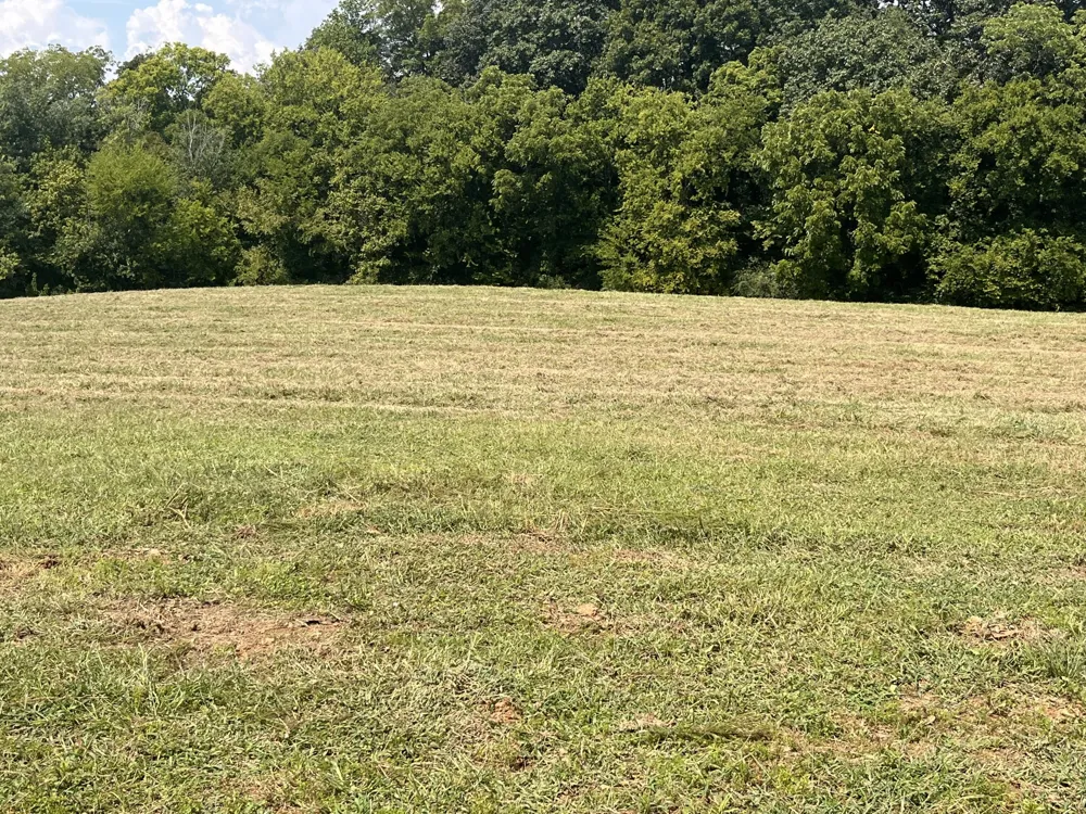160 County Road 968 Delano, TN 37325