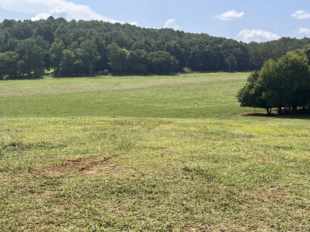 160 County Road 968 Delano, TN 37325