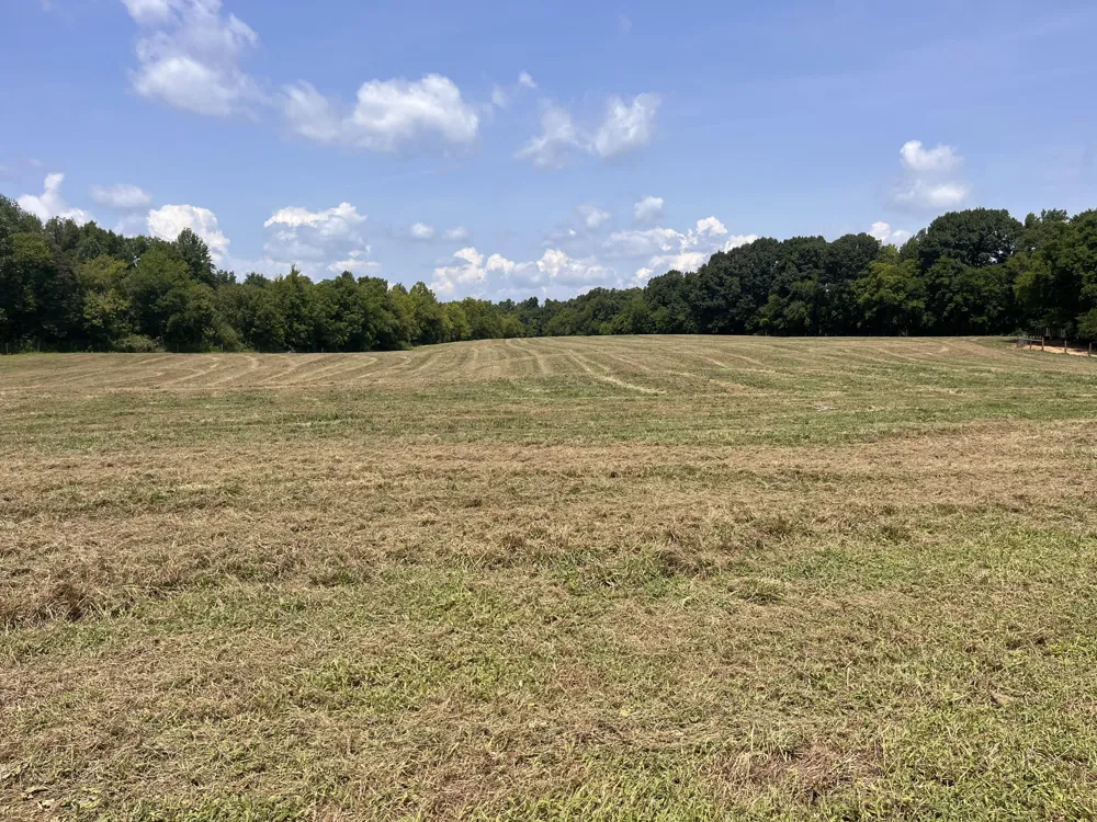 160 County Road 968 Delano, TN 37325