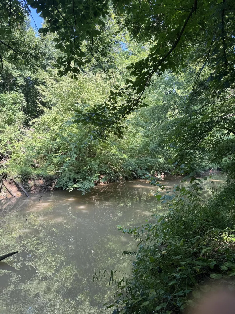 160 County Road 968 Delano, TN 37325