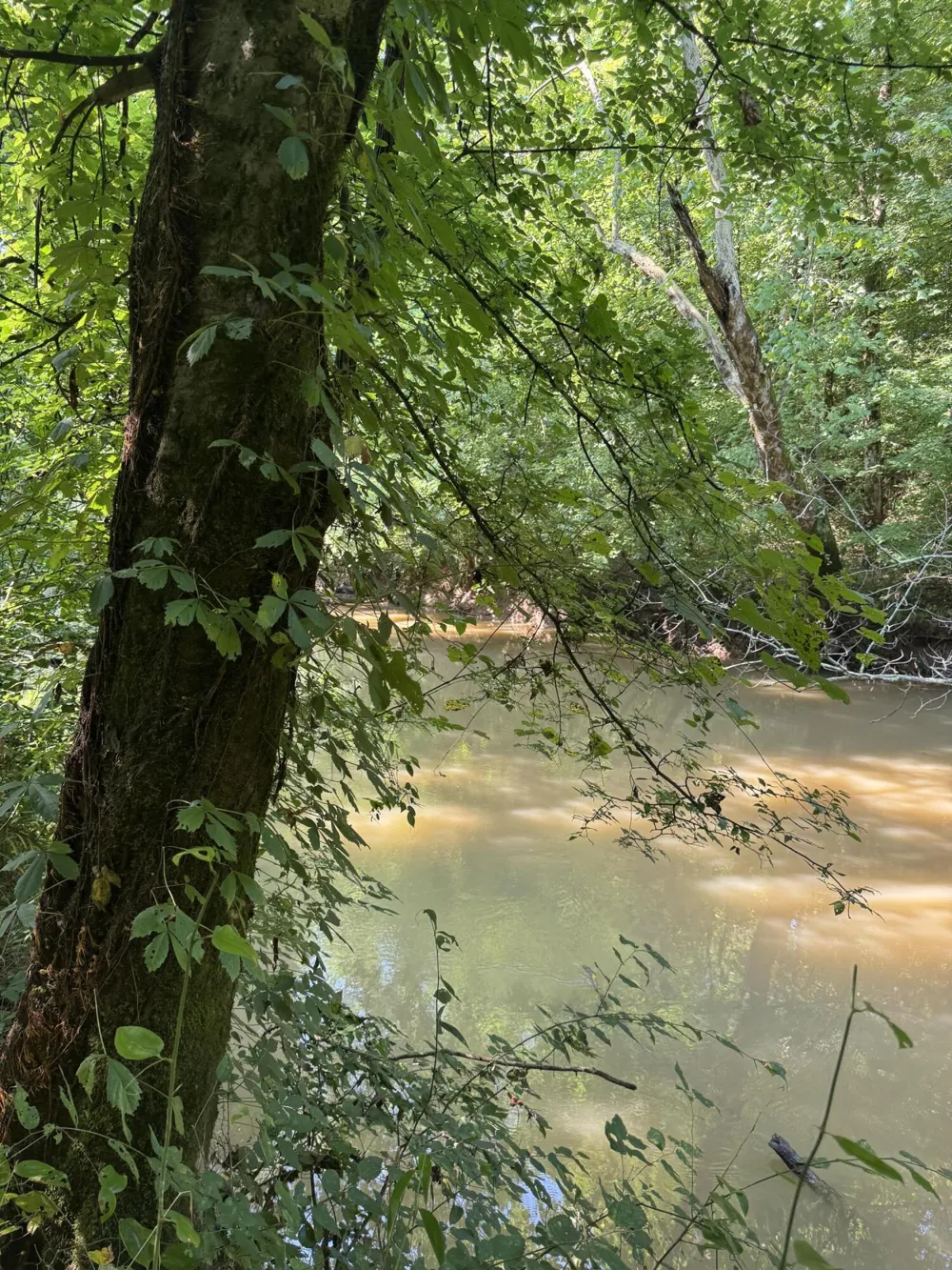 160 County Road 968 Delano, TN 37325