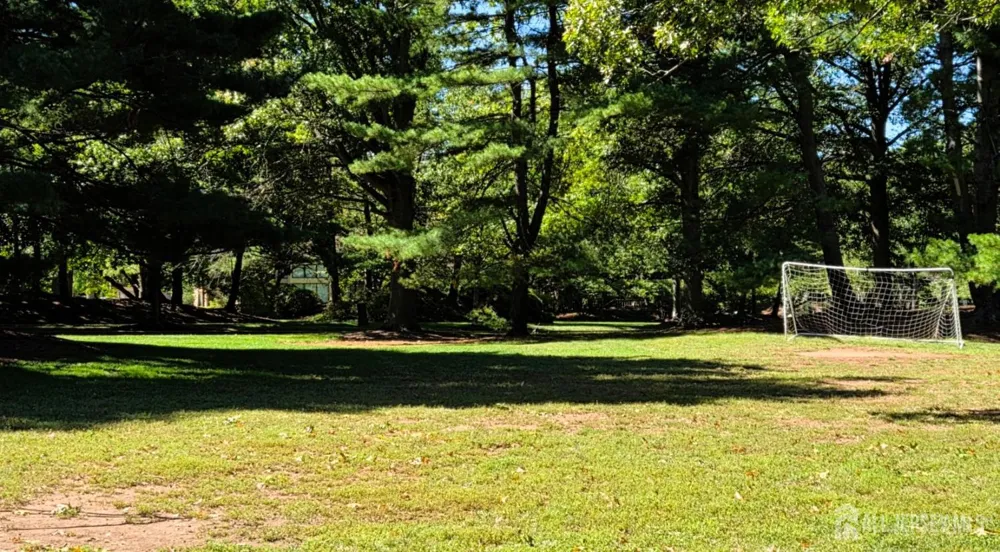167 Sayre Drive Plainsboro, NJ 08540
