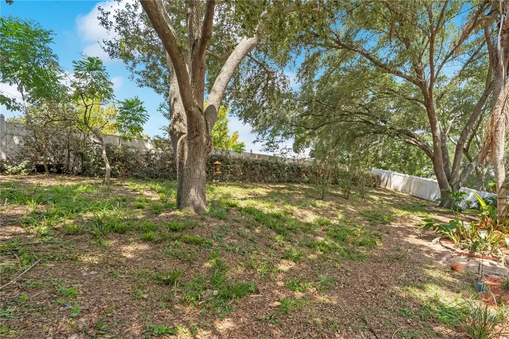 836 ELM FOREST DRIVE Minneola, FL 34715