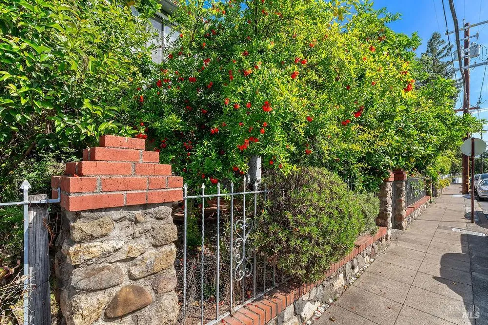 1034 Pope Street St. Helena, CA 94574