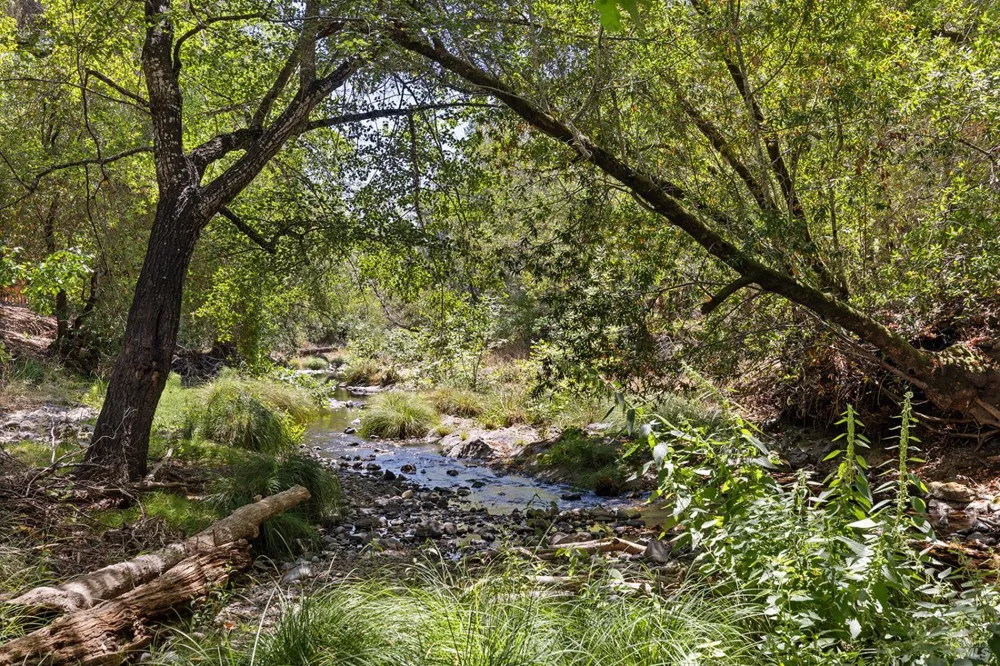 1595 Warm Springs Road Glen Ellen, CA 95442