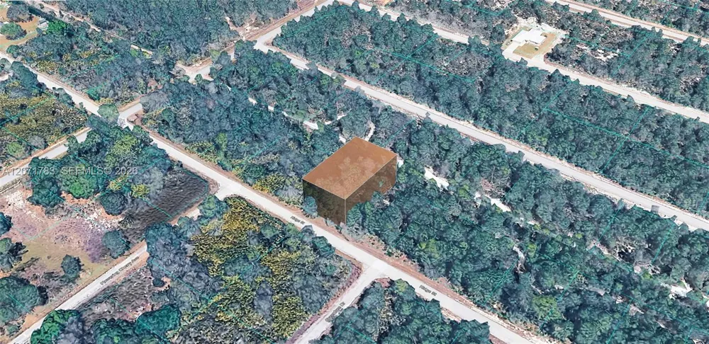 955 RIDGE ST Lake Placid, FL 33852