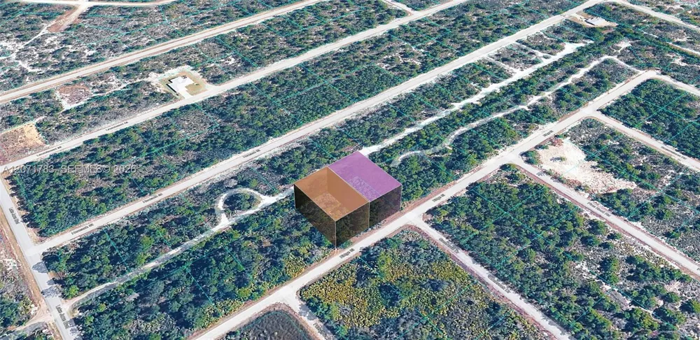 955 RIDGE ST Lake Placid, FL 33852