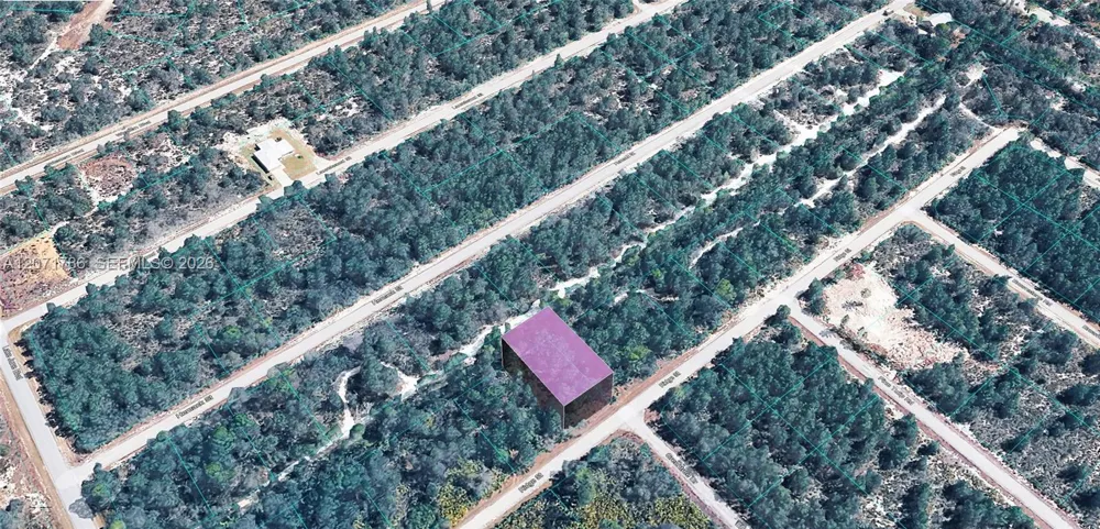 953 RIDGE ST Lake Placid, FL 33852