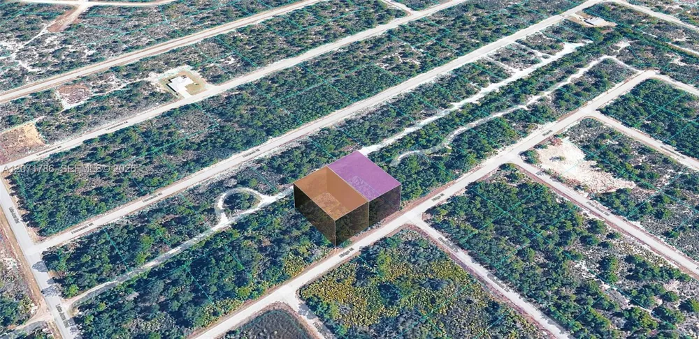 953 RIDGE ST Lake Placid, FL 33852