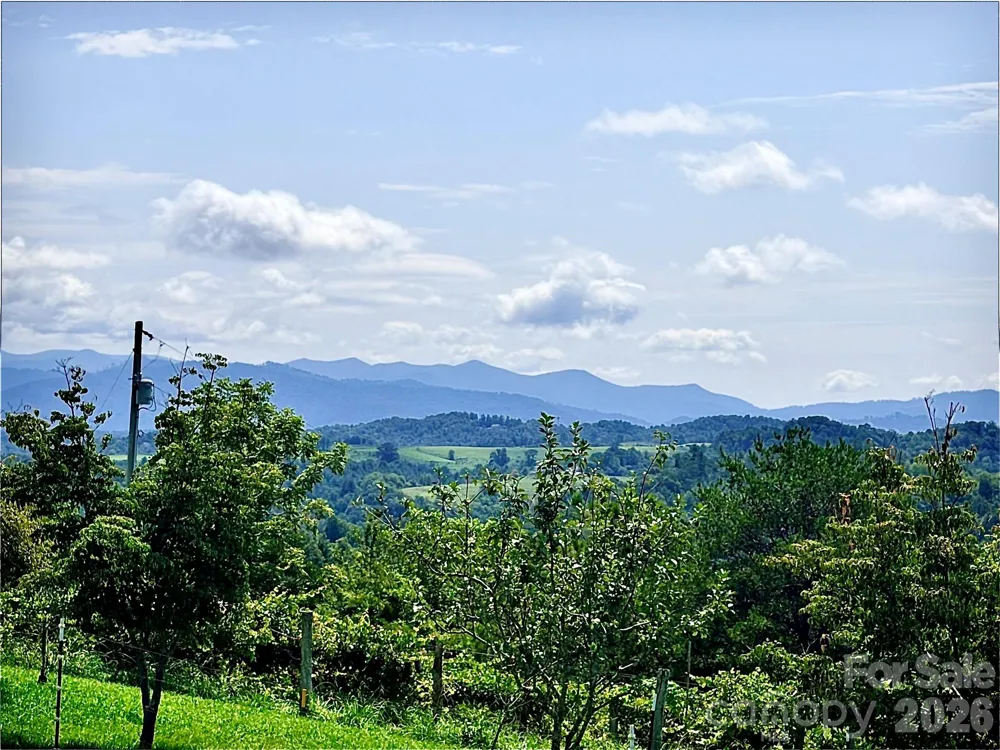 194 Cabin Hollow Drive Marshall, NC 28753