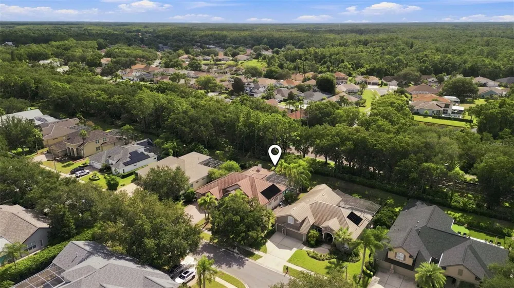 5091 JASMINE WAY Palm Harbor, FL 34685
