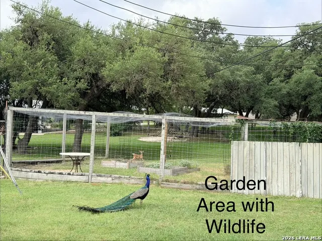 25423 Triangle Loop San Antonio, TX 78255