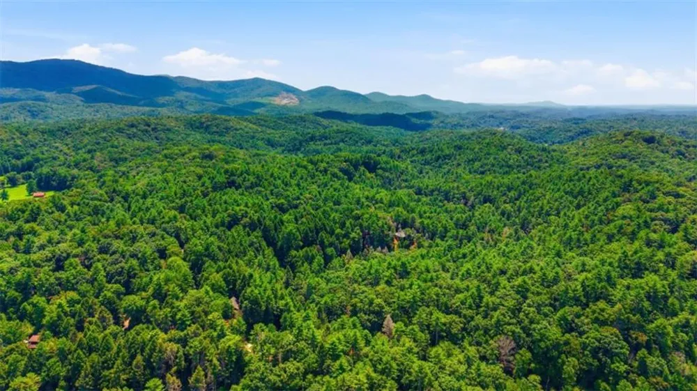 464 Whispering Pine Lane Cherry Log, GA 30522