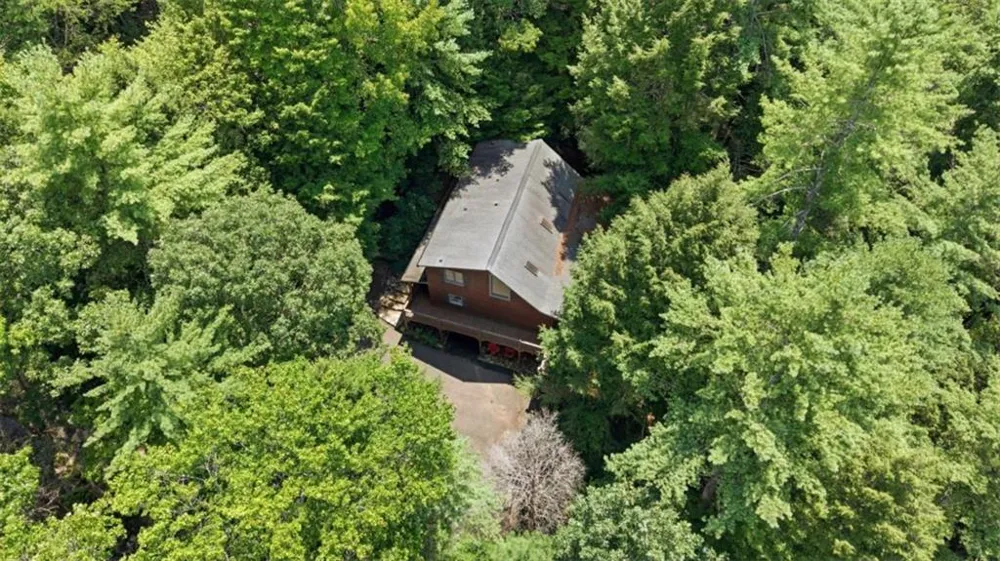464 Whispering Pine Lane Cherry Log, GA 30522