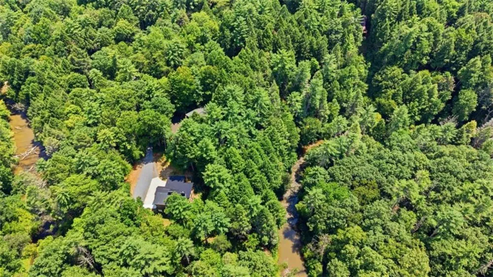 464 Whispering Pine Lane Cherry Log, GA 30522