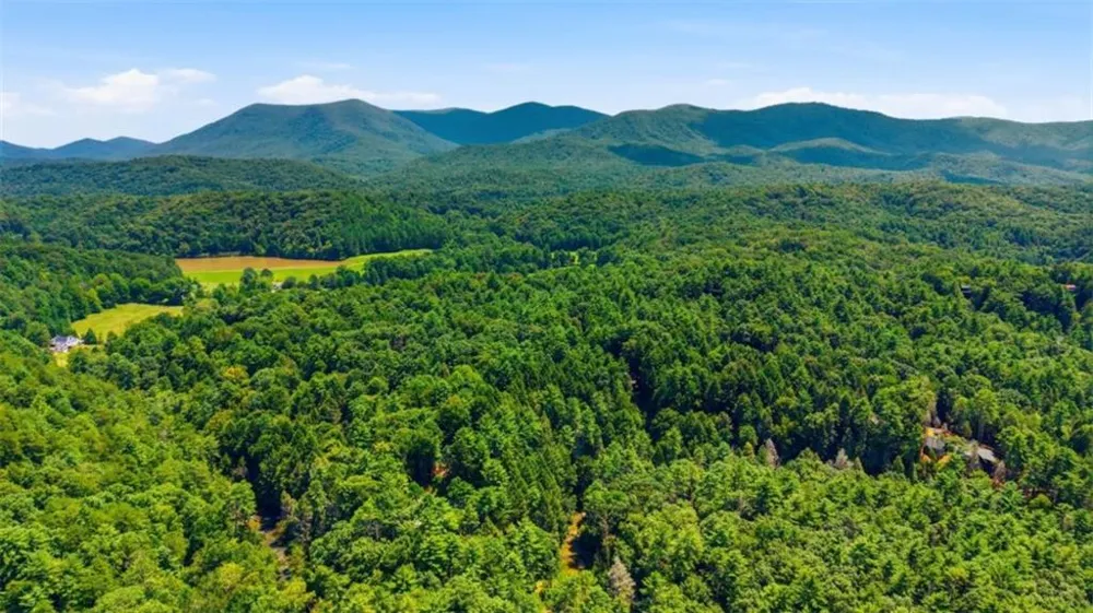 464 Whispering Pine Lane Cherry Log, GA 30522