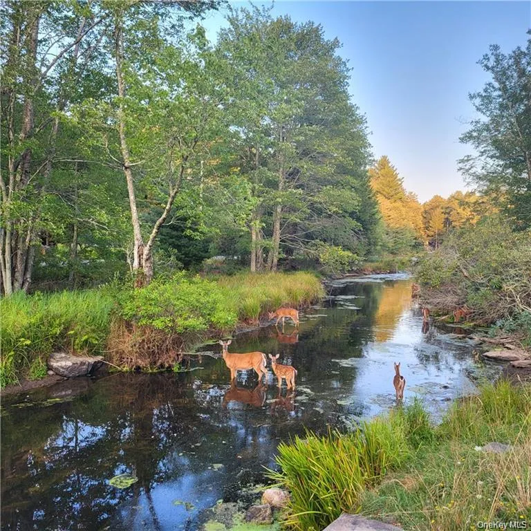 198 Pine Grove Road Bethel, NY 12720