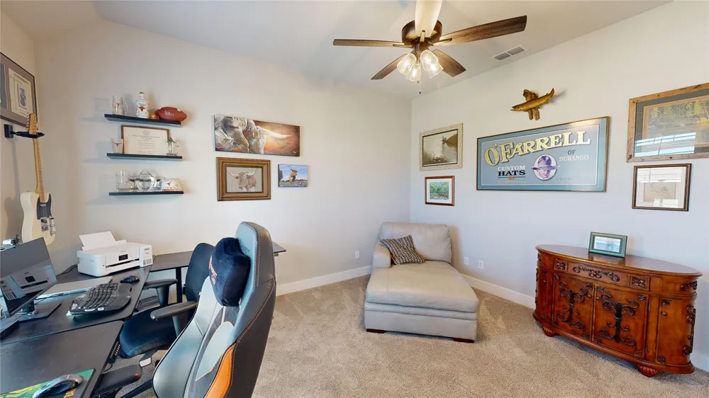 1233 Green Elm Road Graford, TX 76449