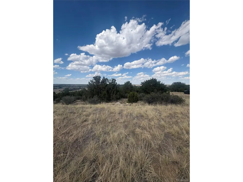 558 Mount Shavano Colorado City, CO 81019