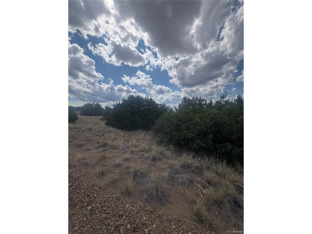 558 Mount Shavano Colorado City, CO 81019