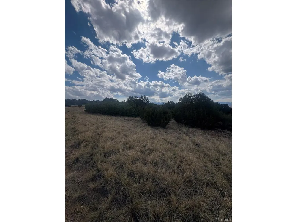 558 Mount Shavano Colorado City, CO 81019
