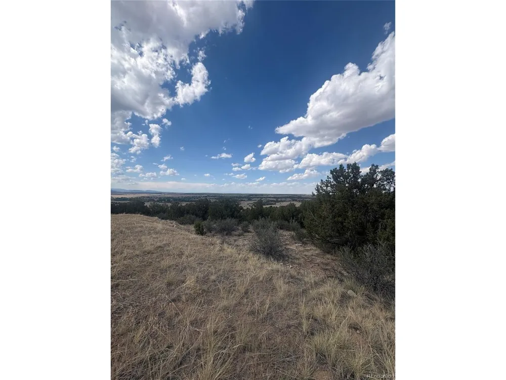 558 Mount Shavano Colorado City, CO 81019