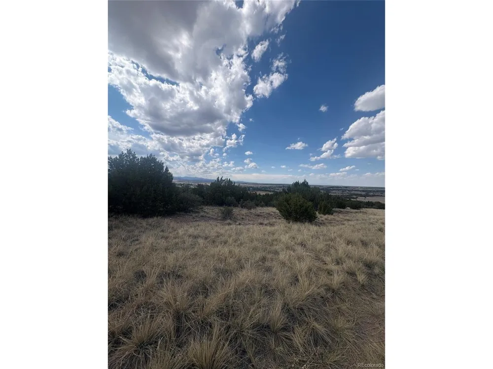 558 Mount Shavano Colorado City, CO 81019