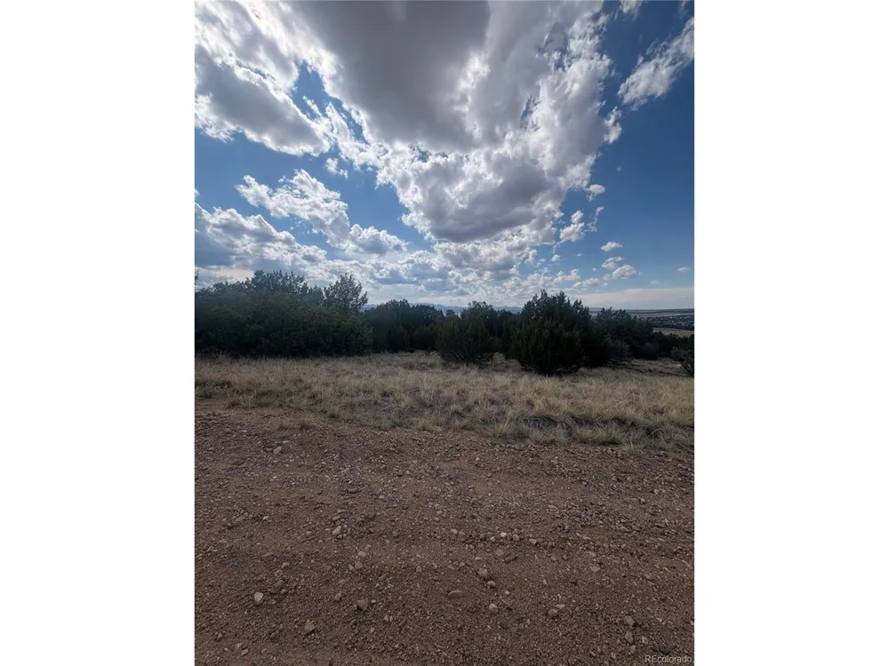 558 Mount Shavano Colorado City, CO 81019