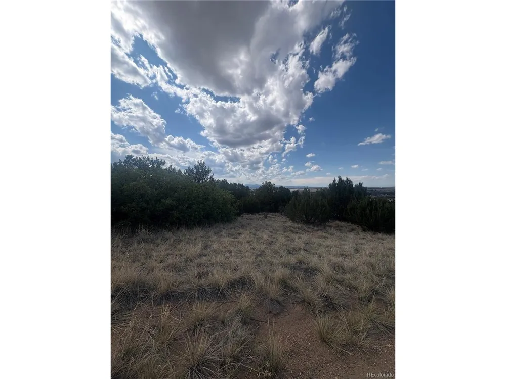 558 Mount Shavano Colorado City, CO 81019
