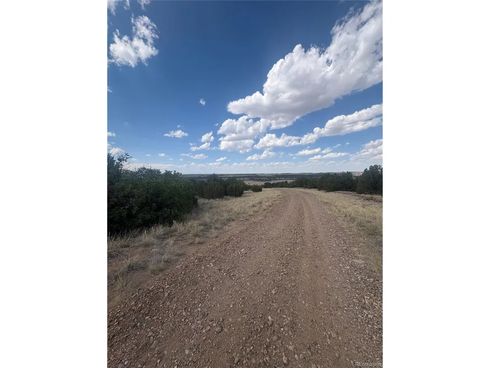 558 Mount Shavano Colorado City, CO 81019