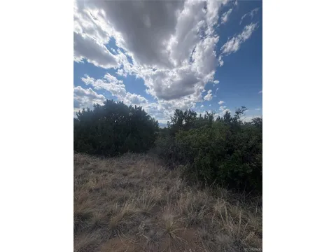 558 Mount Shavano