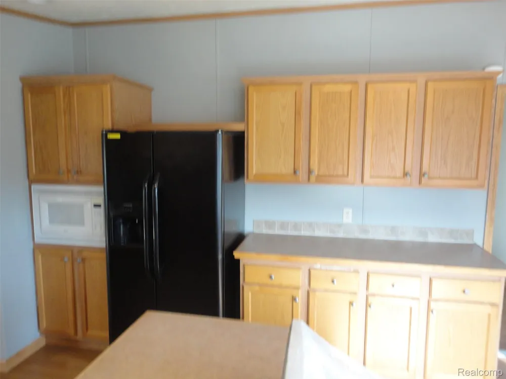 3913 Benjamin Way Raisinville Township, MI 48161