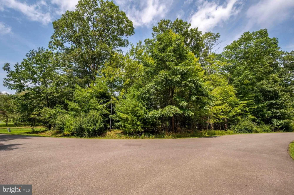 HERON COVE Oakland, MD 21550