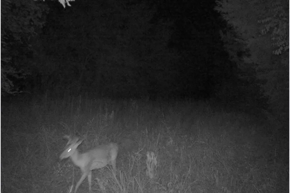 County Road 314 Terrell, TX 75161