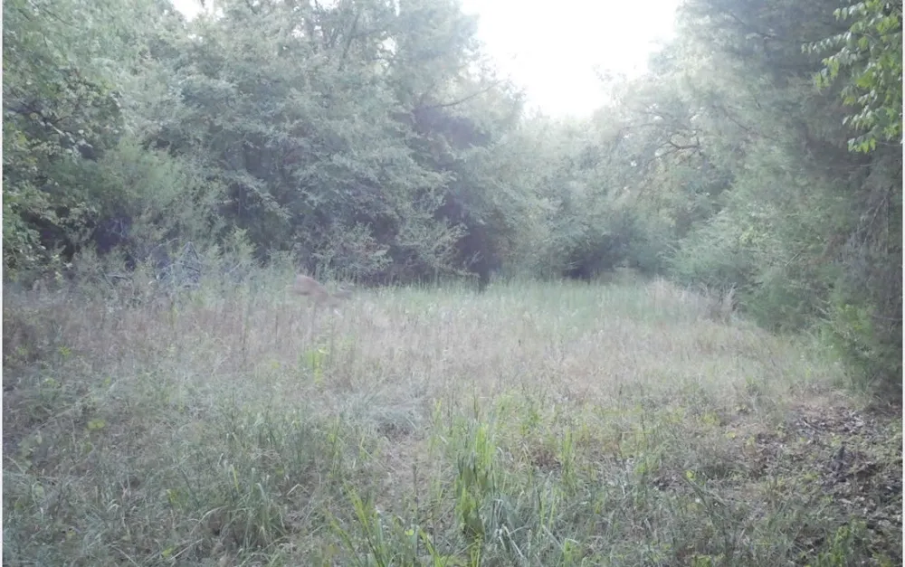 County Road 314 Terrell, TX 75161