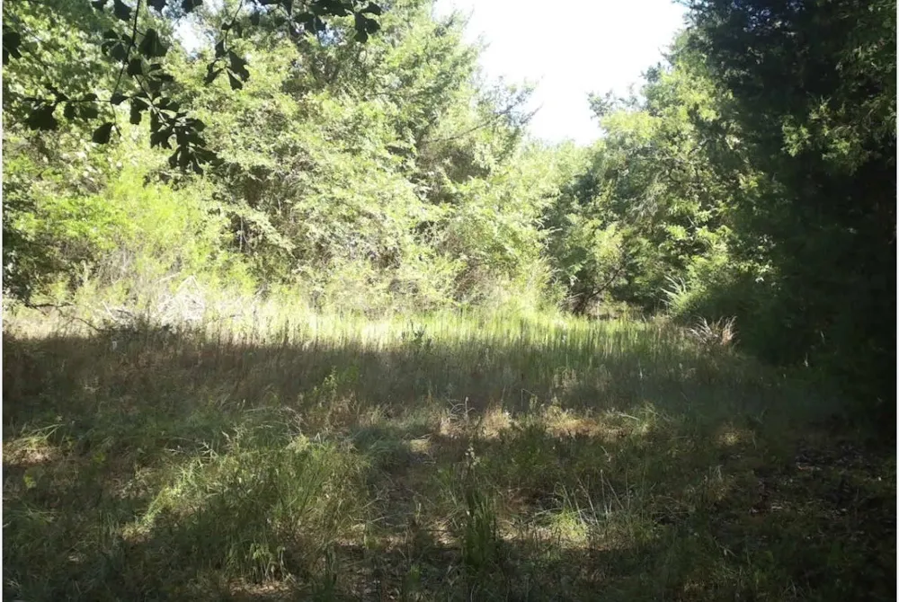 County Road 314 Terrell, TX 75161
