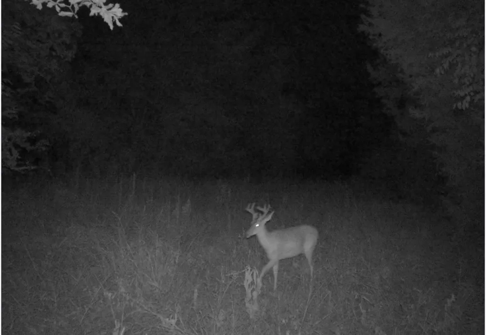 County Road 314 Terrell, TX 75161