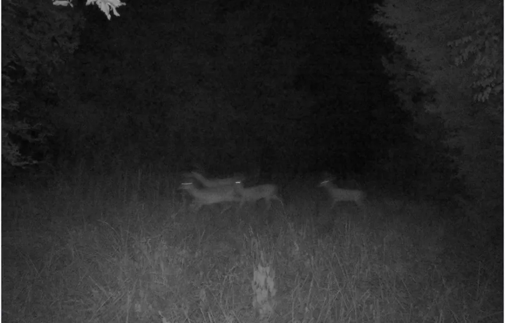 County Road 314 Terrell, TX 75161